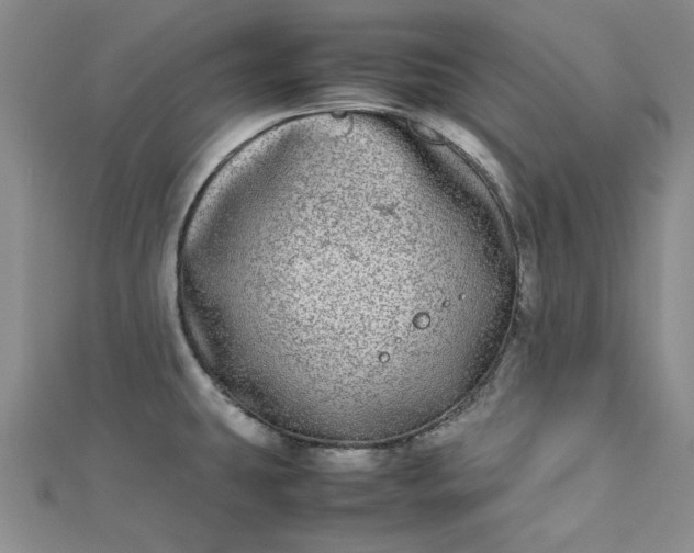 X0000112871431200909041612