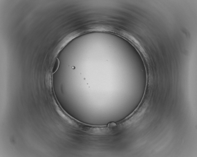 X0000112871433200909041612