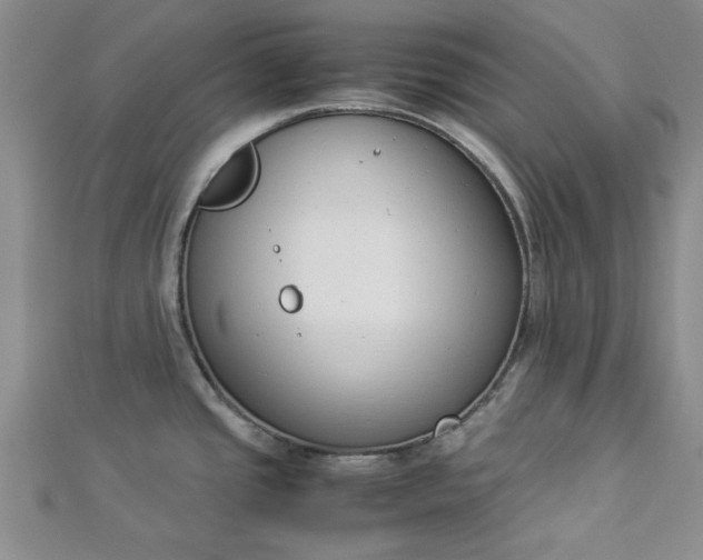 X0000112871437200909041612