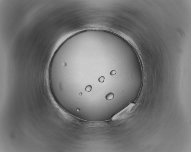 X0000112871440200909041612