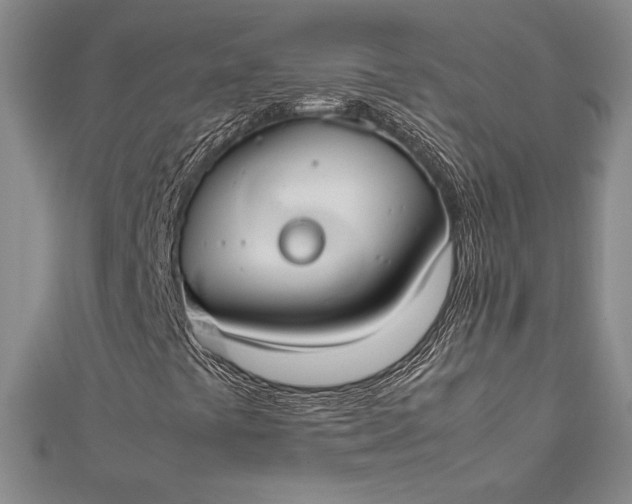 X0000112871441200909041612