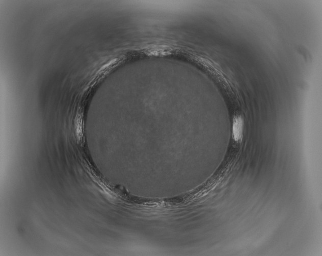 X0000112871444200909041612