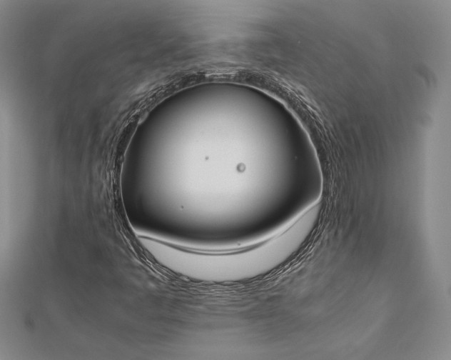 X0000112871445200909041612