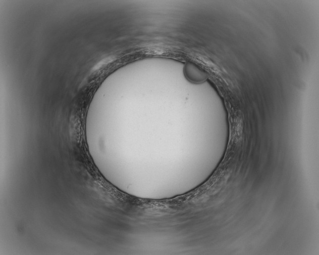 X0000112871446200909041612