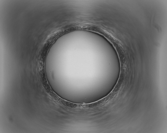 X0000112871447200909041612