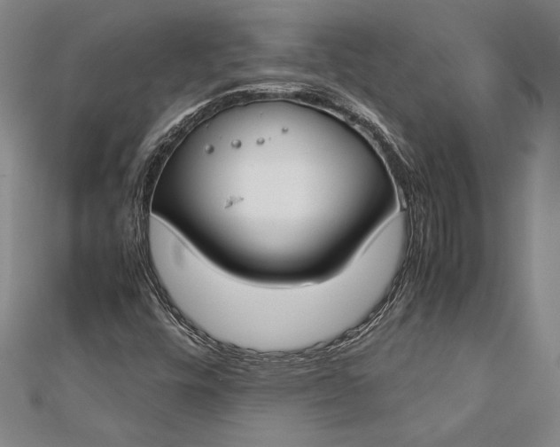 X0000112871448200909041612