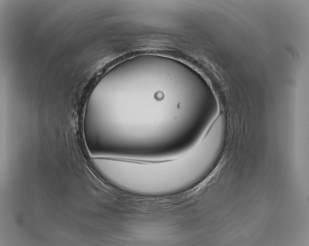 X0000112871449200909041612