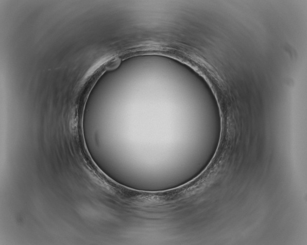 X0000112871450200909041612