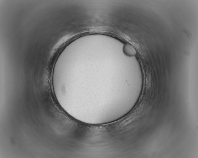 X0000112871454200909041612