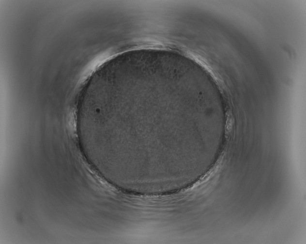 X0000112871455200909041612