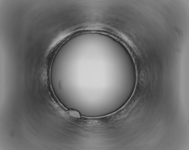 X0000112871456200909041612