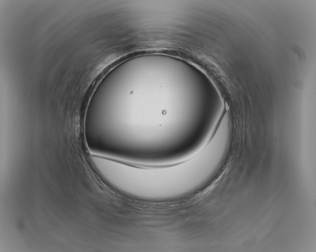 X0000112871457200909041612