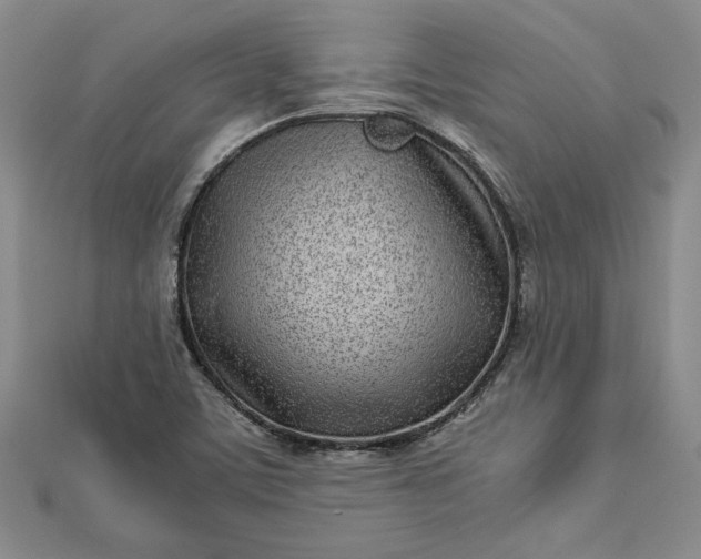 X0000112871459200909041612