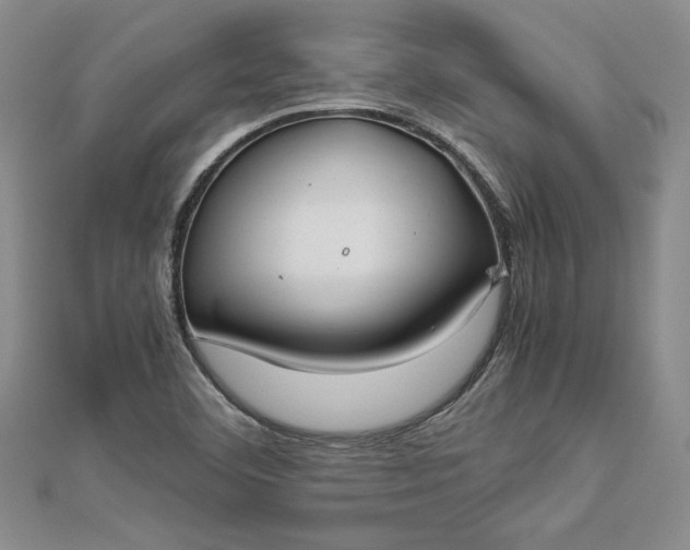 X0000112871460200909041612