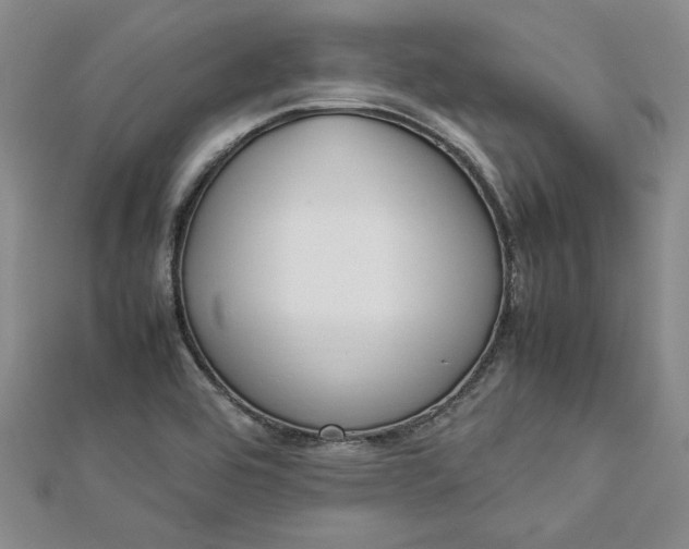 X0000112871464200909041611