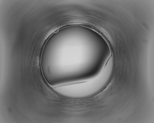 X0000112871465200909041611