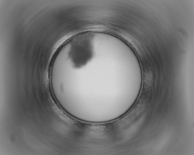 X0000112871466200909041611