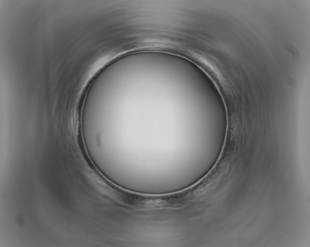 X0000112871467200909041611