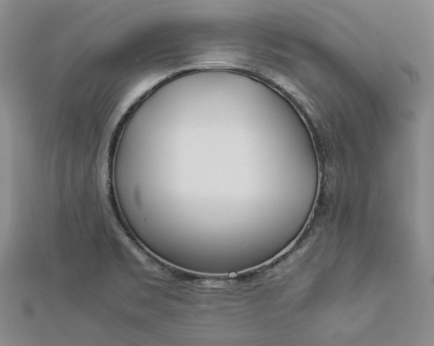 X0000112871469200909041611