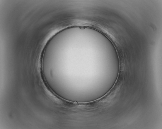 X0000112871471200909041611