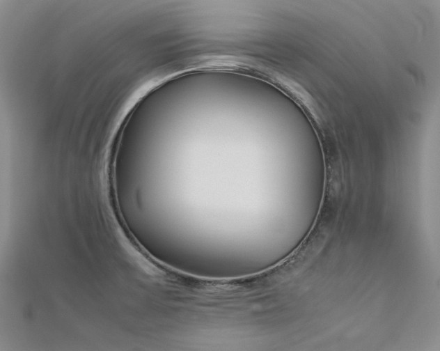 X0000112871475200909041611