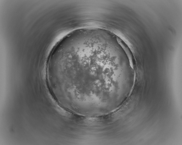 X0000112871477200909041611