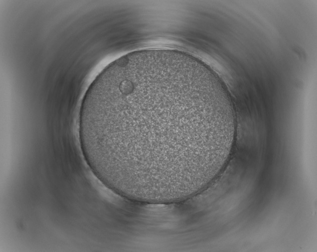 X0000112871478200909041611