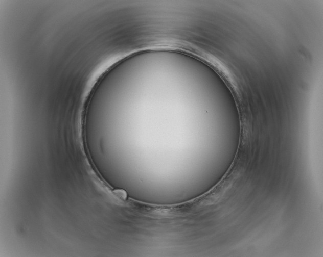 X0000112871480200909041611