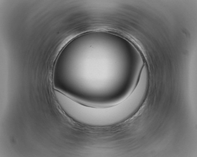 X0000112871481200909041611