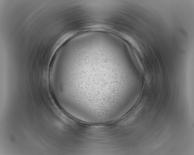 X0000112871482200909041611