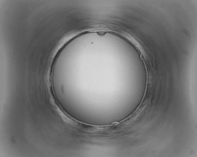 X0000112871485200909041611