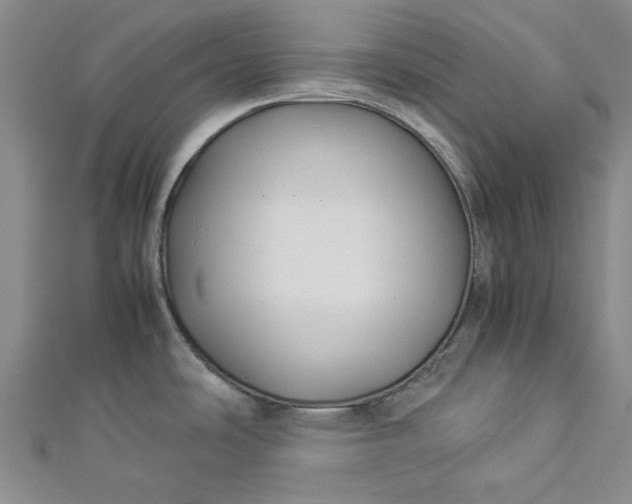 X0000112871486200909041611