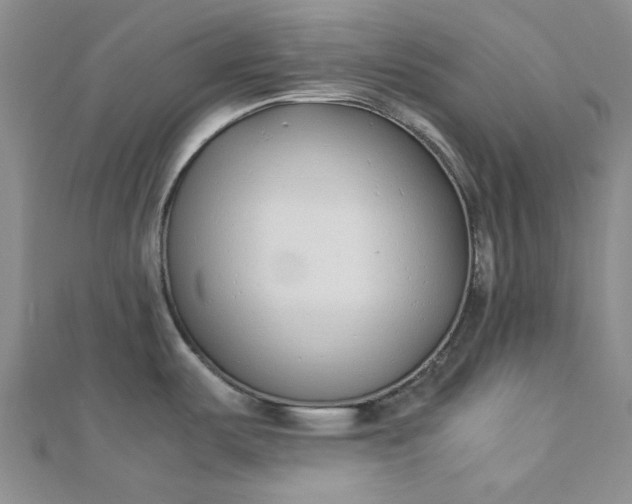 X0000112871487200909041611