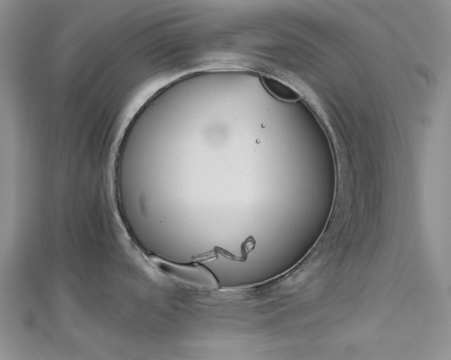 X0000112871488200909041611