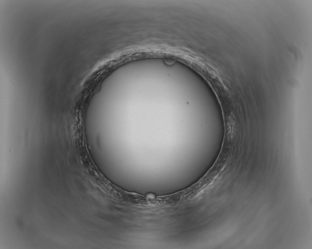 X0000112871494200909041611