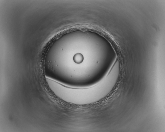 X0000112871496200909041611