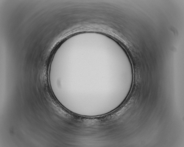 X0000112871498200909041611