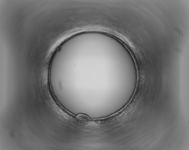 X0000112871504200909041611