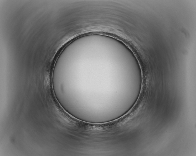 X0000112871505200909041611