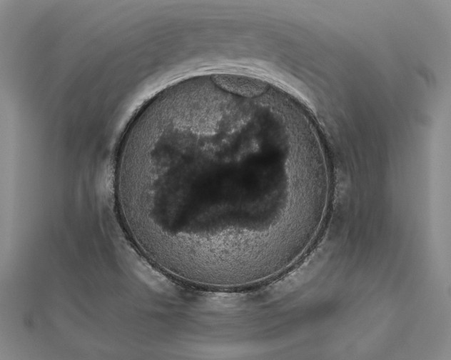 X0000112871506200909041611