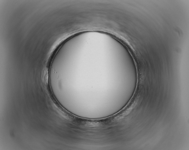 X0000112871509200909041611