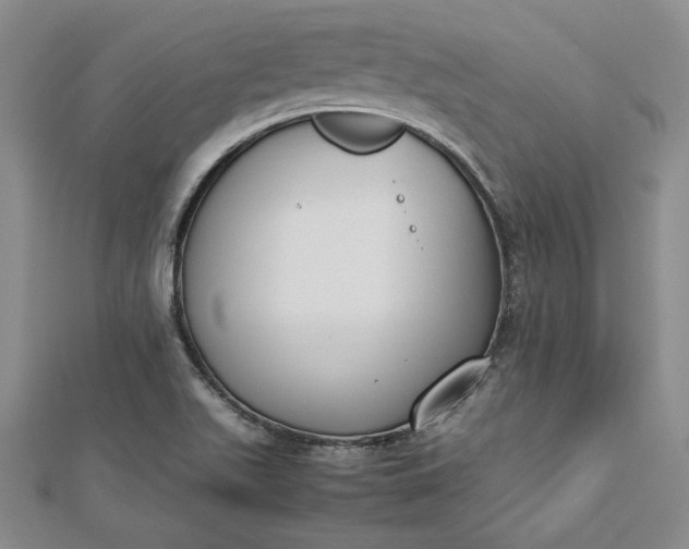 X0000112871511200909041611