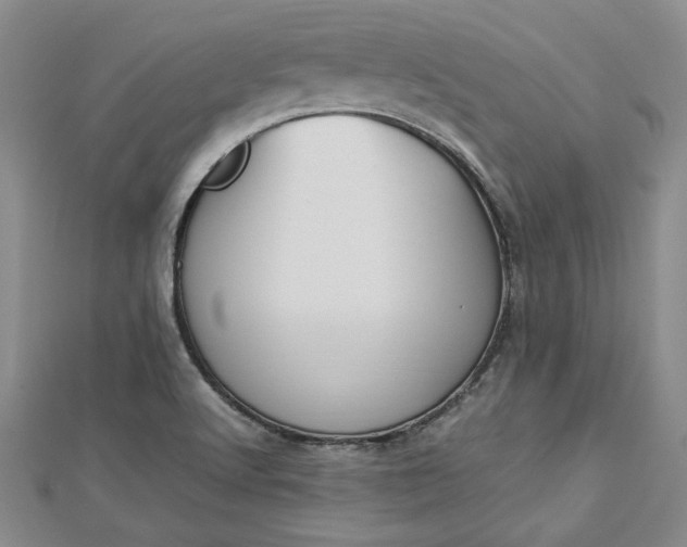 X0000112871512200909041611