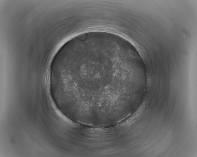 X0000112871515200909041611