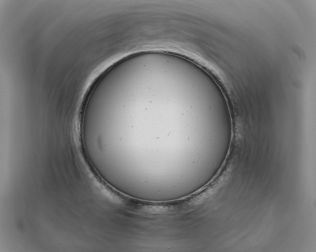 X0000112871517200909041611