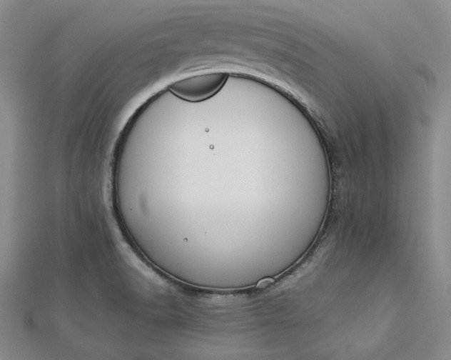 X0000112871518200909041611