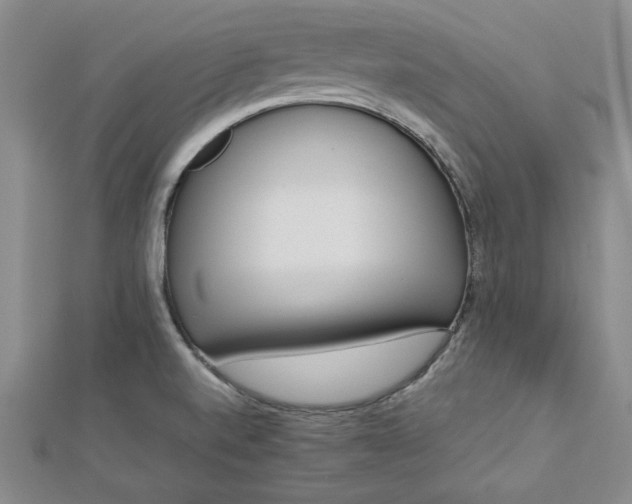 X0000112871520200909041611