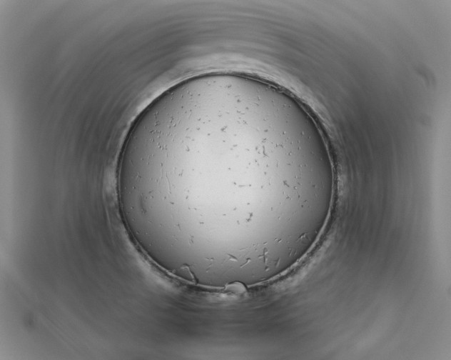 X0000112871521200909041611