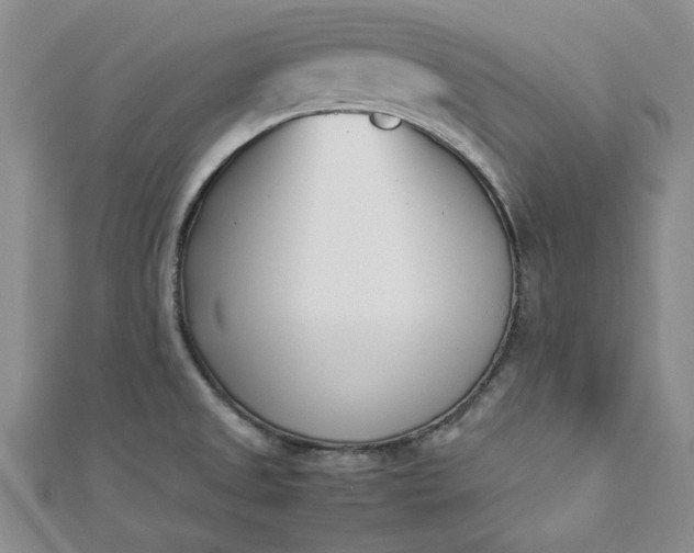 X0000112871525200909041611