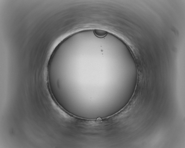 X0000112871527200909041611